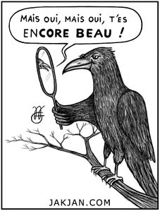 51 Encore Beau